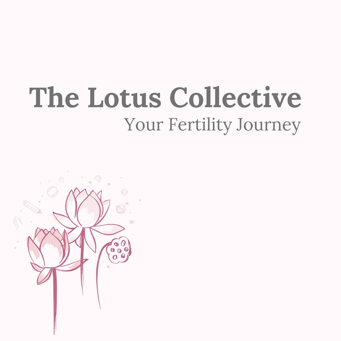 Why I've Created The Lotus Collective: Your Fertility Journey